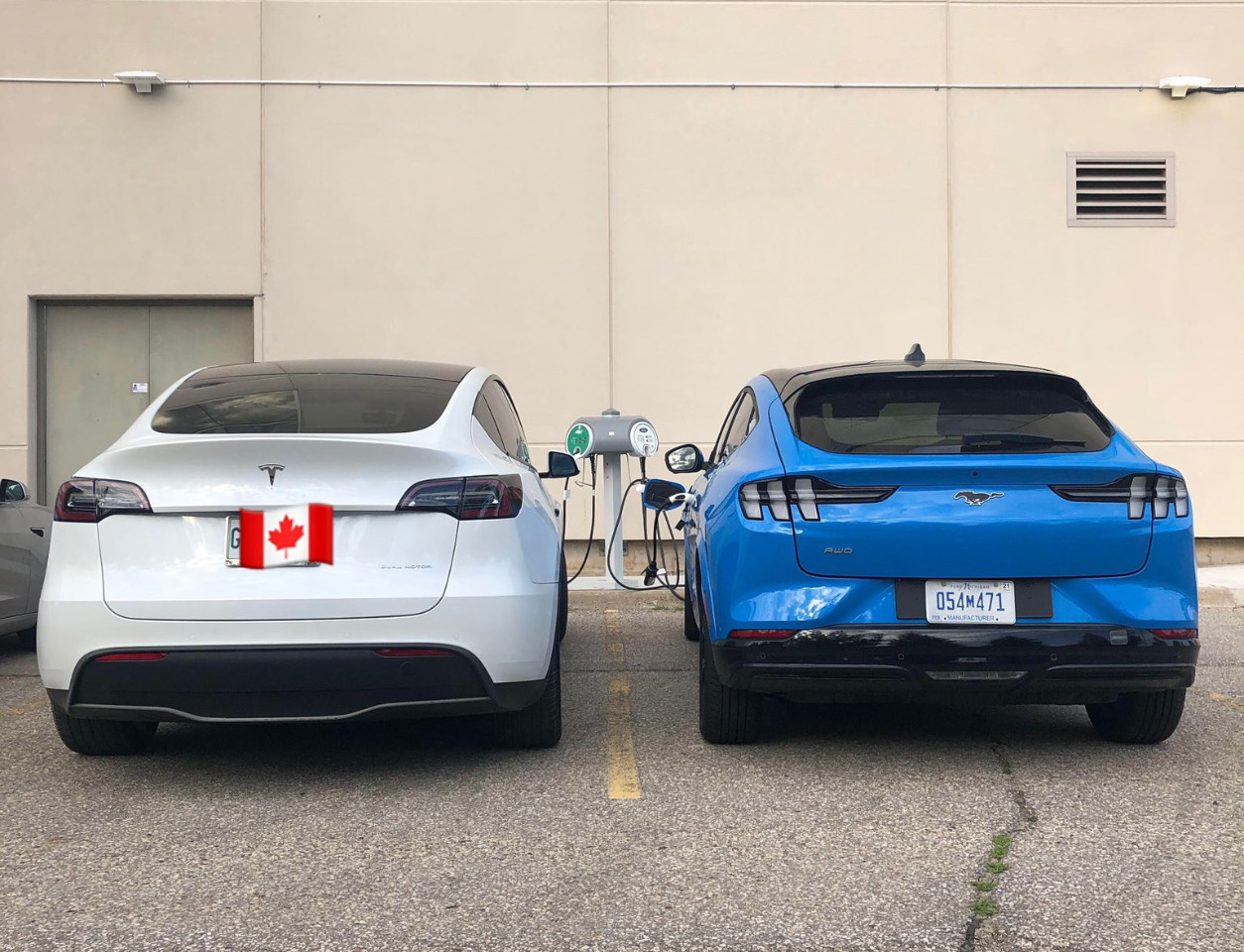 Confronto visivo: per la prima volta la nuova Ford Mustang Mach-E accanto alla Tesla Model Y