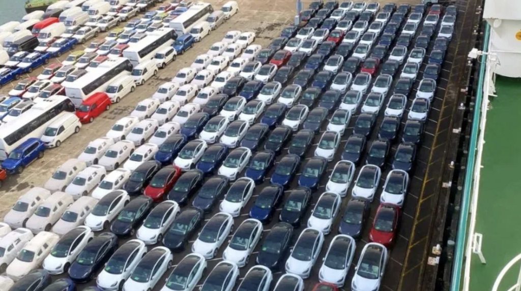 Centinaia di Tesla si sono schierate nel porto di Auckland, suggerendo una crescita ancora maggiore in Nuova Zelanda